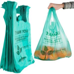 Carry Bag Making Machine: Cost, Output & ROI
