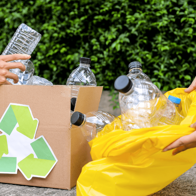 Biodegradable vs Compostable Plastic: Differences Explained
